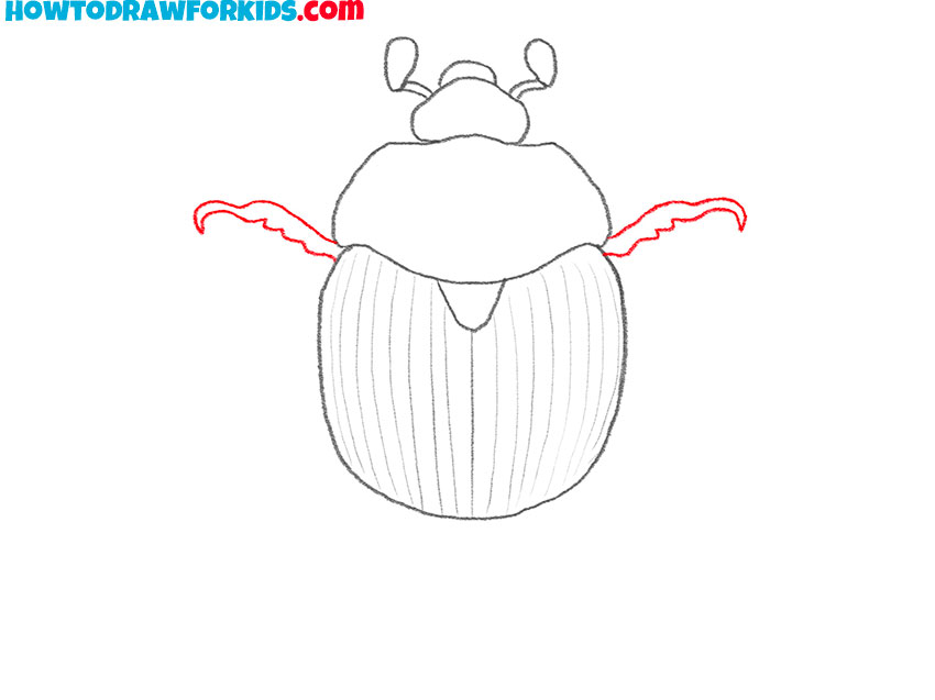 how to draw a realistic beetle