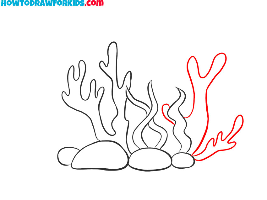 Coral Drawing For Kids