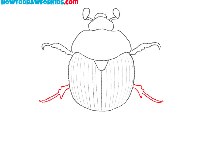 how to draw a simple beetle