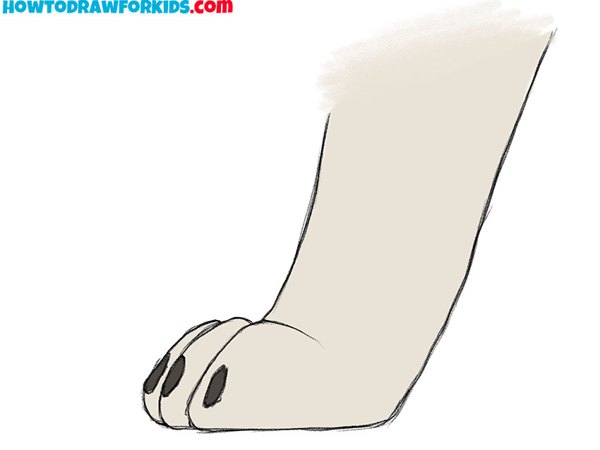 how to draw a small dog paw