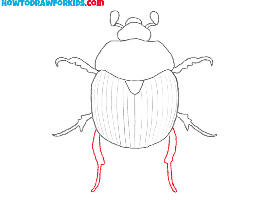 beetle drawing easy