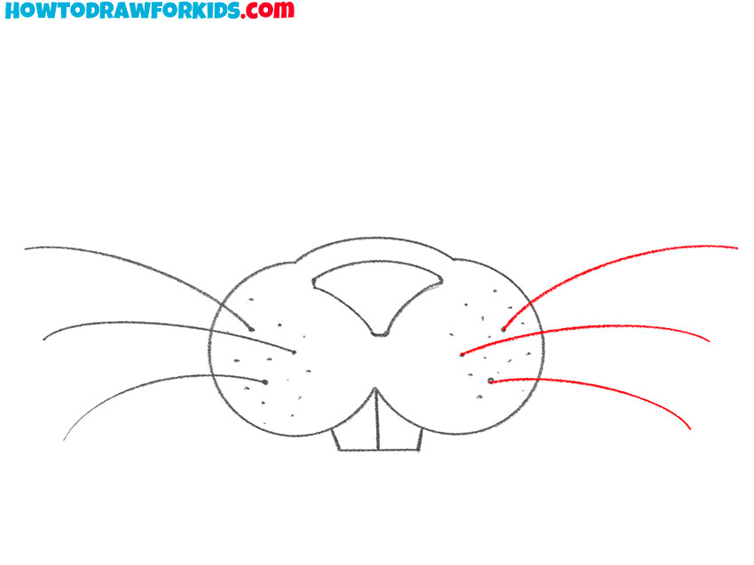 bunny nose and mouth drawing for kids