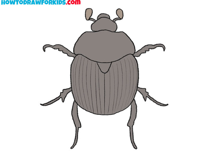 How to Draw a Beetle Easy Drawing Tutorial For Kids