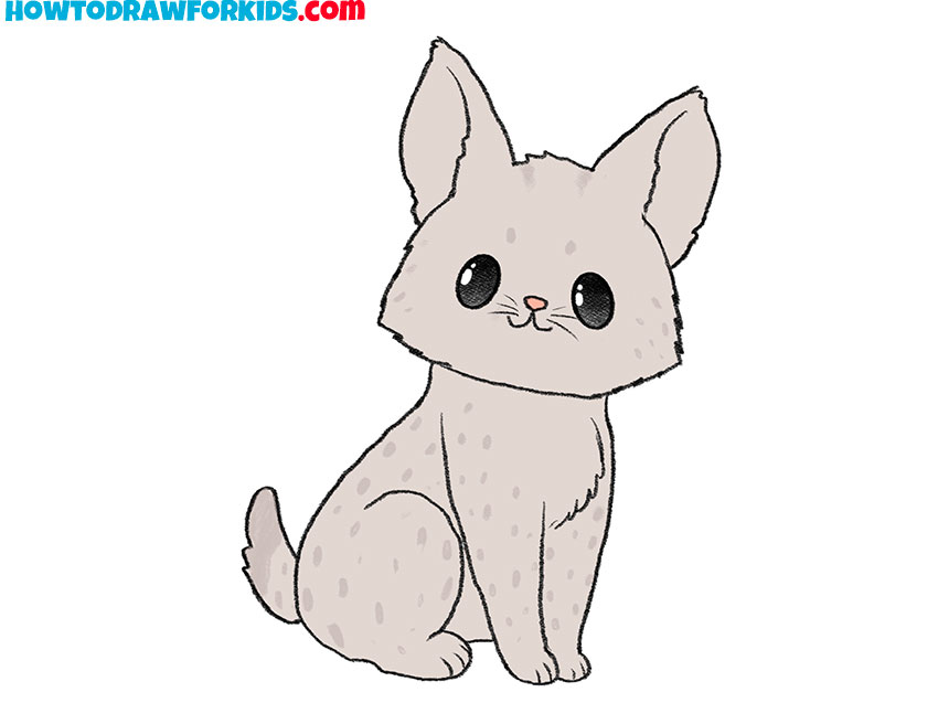 bobcat drawing cute
