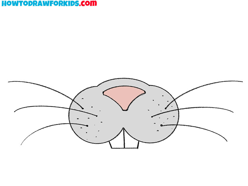 bunny nose and mouth drawing for beginners