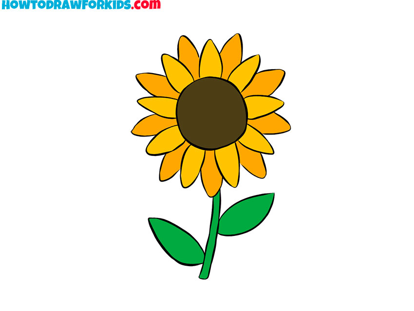 simple sunflower drawing lesson