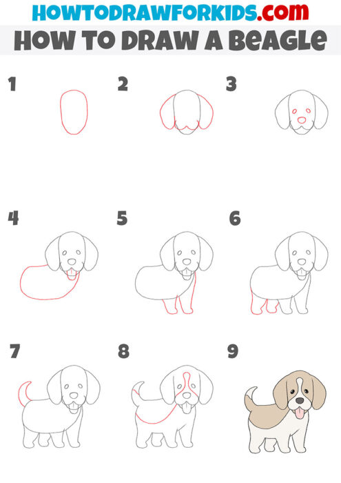 How to Draw a Beagle - Easy Drawing Tutorial For Kids