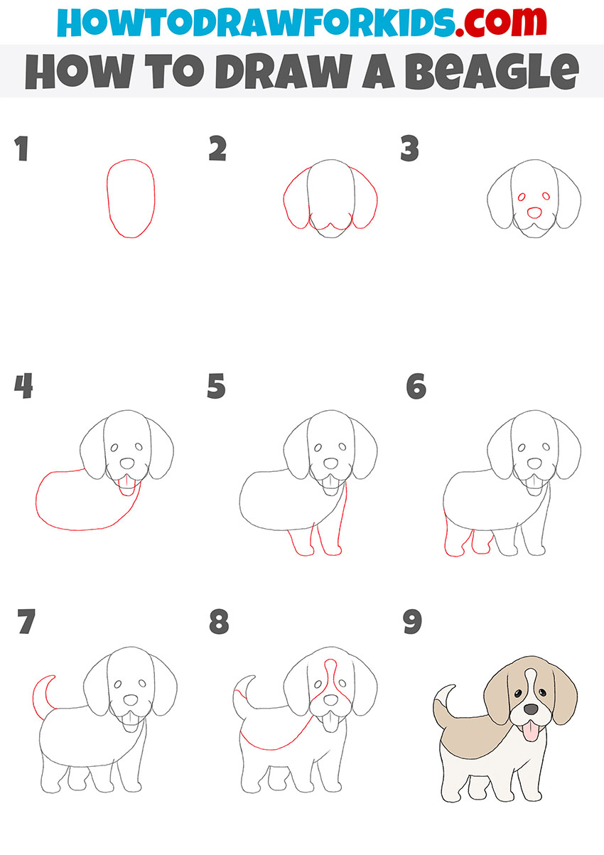 how to draw a beagle step by step