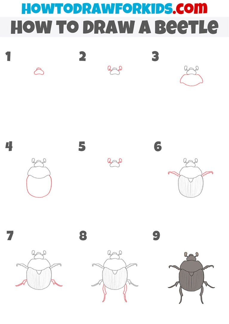 How to Draw a Beetle Easy Drawing Tutorial For Kids