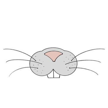How to Draw a Bunny Nose and Mouth