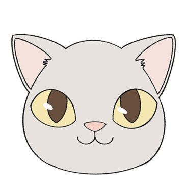 How to Draw a Cat Head