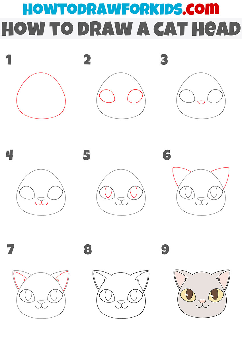 how to draw a cat head step by step
