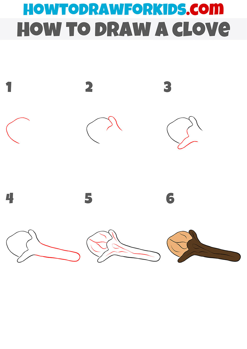 how to draw a clove step by step