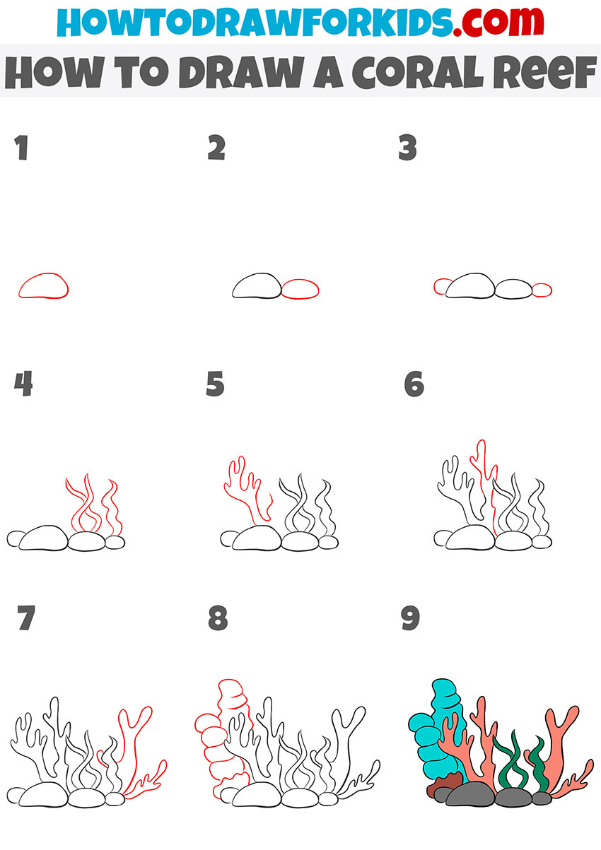 how to draw a coral reef step by step