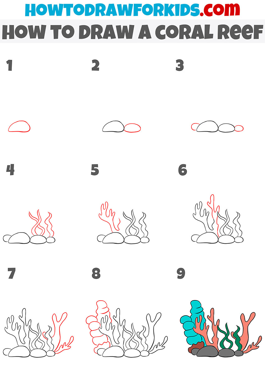 How To Draw A Coral Reef Easy Drawing Tutorial For Kids   How To Draw A Coral Reef Step By Step 