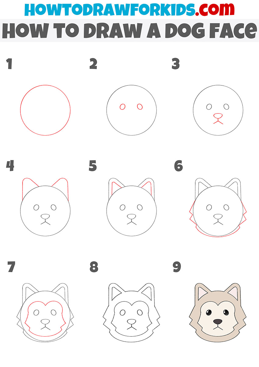 how to draw a dog face step by step