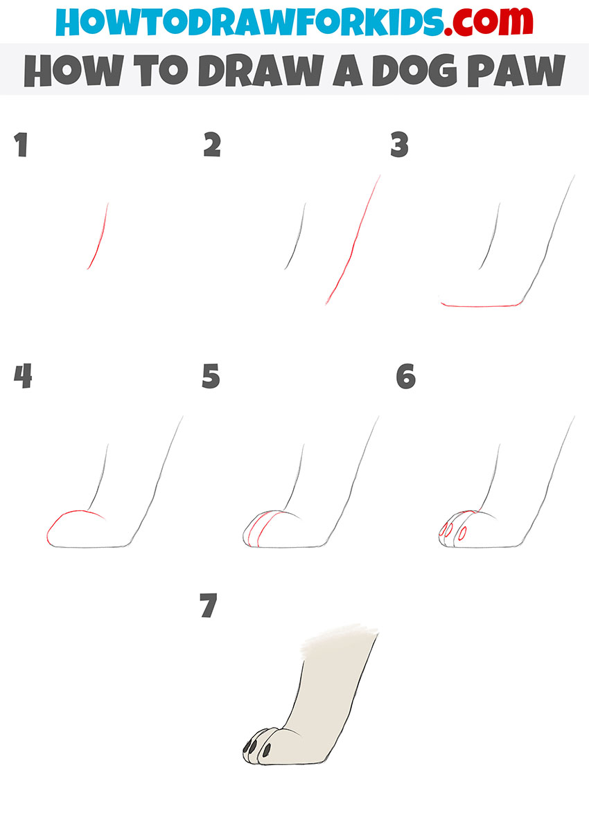 how to draw a dog paw step by step