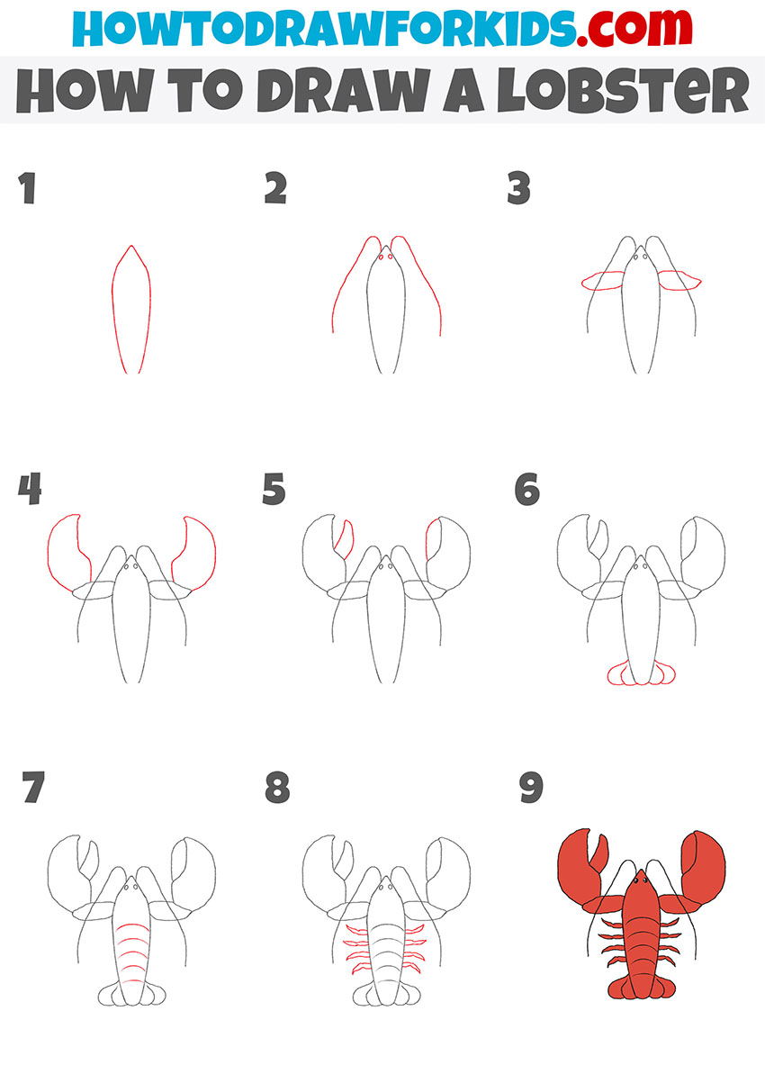 lobster step by step drawing tutorial