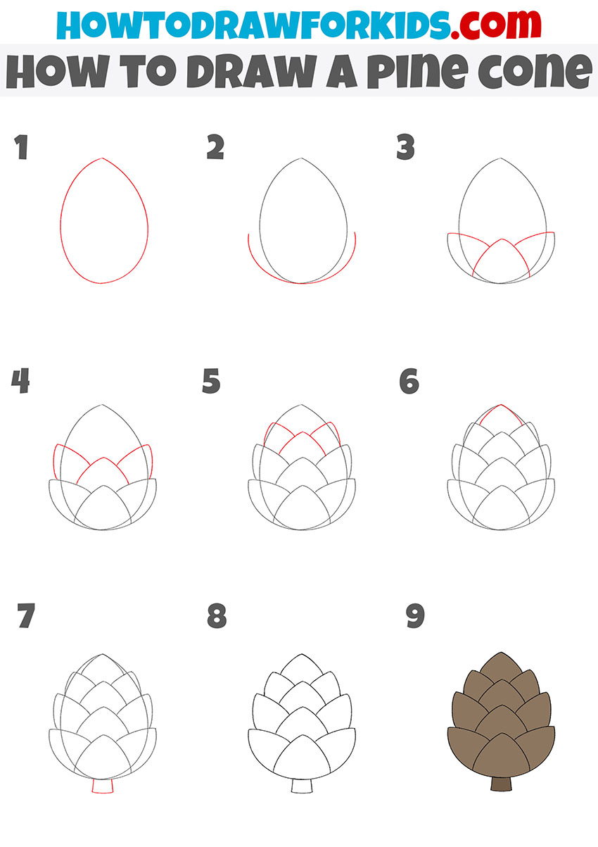 how to draw a pine cone step by step