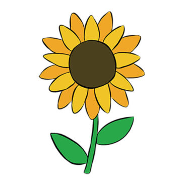 How to Draw a Simple Sunflower