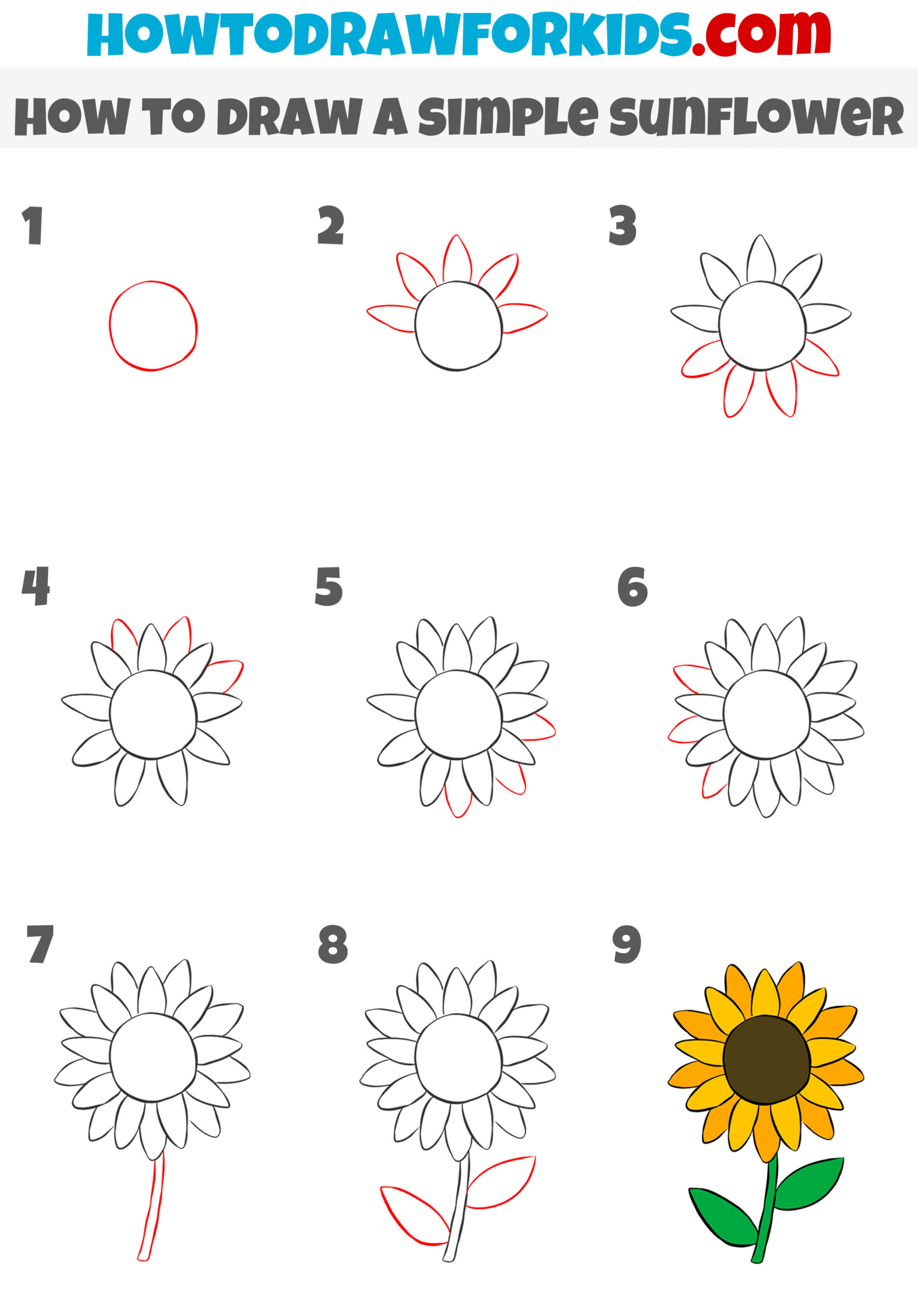 how to draw a simple sunflower step by step