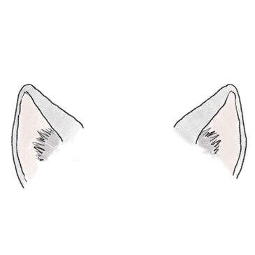 How to Draw Cat Ears