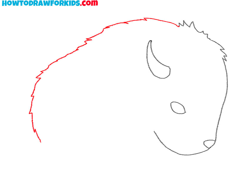 how to draw a bison cute