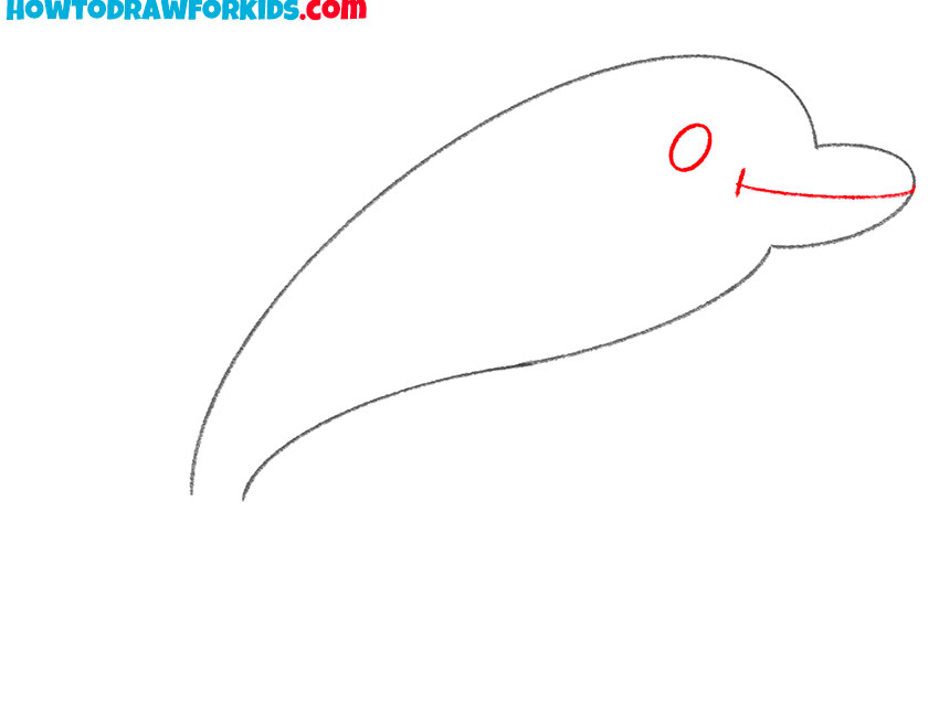 how to draw a dolphin step by step realistic