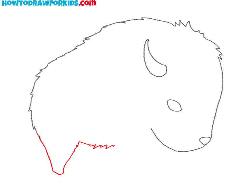 how to draw a cartoon bison