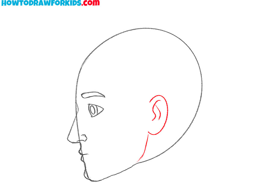 how to draw a face in profile human