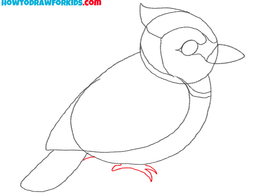 how to draw a blue jay from the side