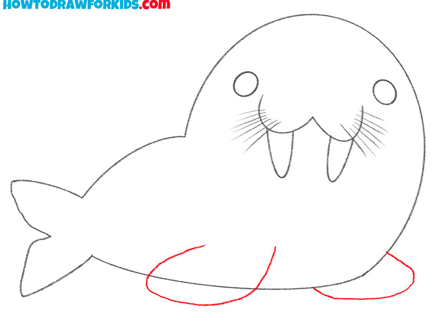 how to draw a cartoon walrus