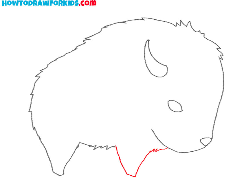 how to draw a realistic bison