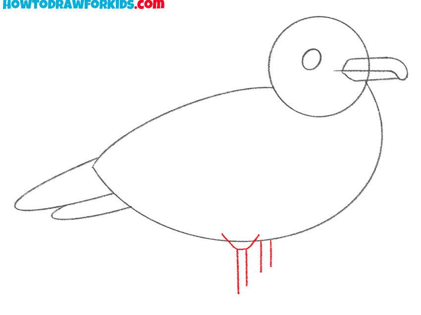 how to draw a realistic seagull