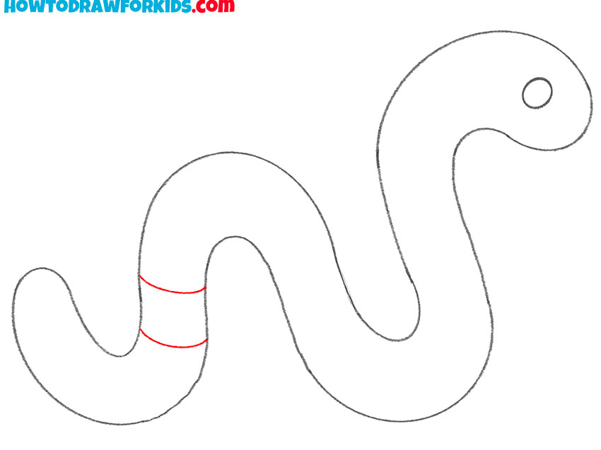 worm drawing guide