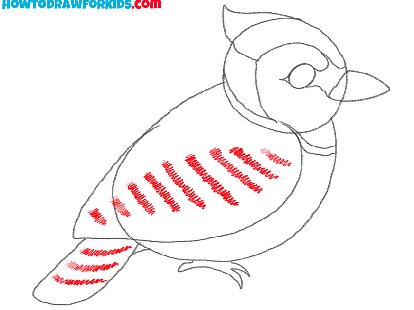 how to draw a realistic blue jay step by step