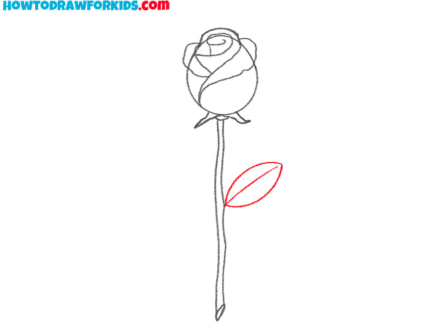 how to draw a rose for beginners