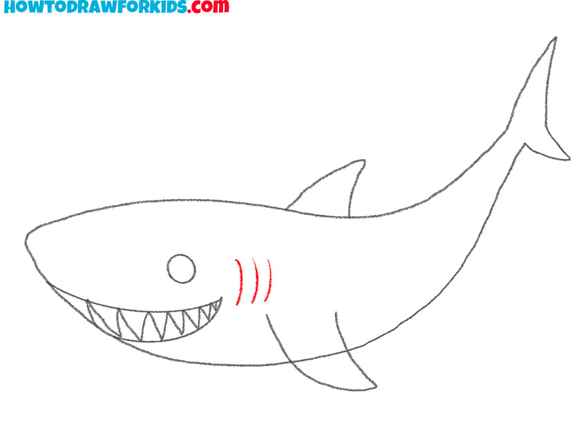 how to draw a shark cartoon