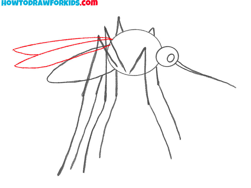 mosquito drawing for kids