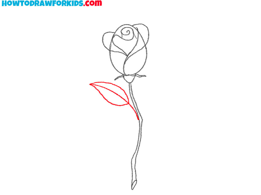 rose with a pencil for beginners
