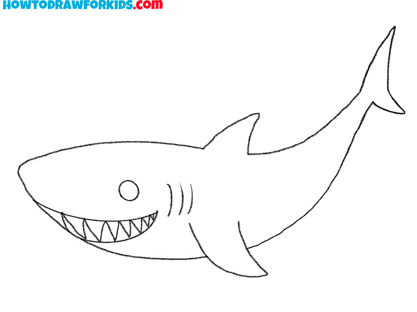 how to draw a shark cute