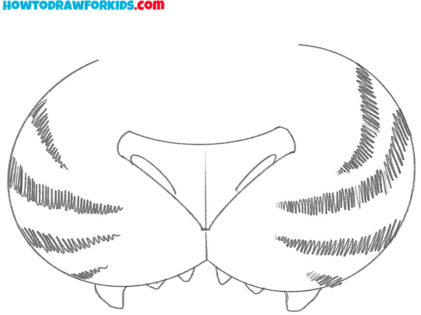 how to draw a tiger nose easy cute