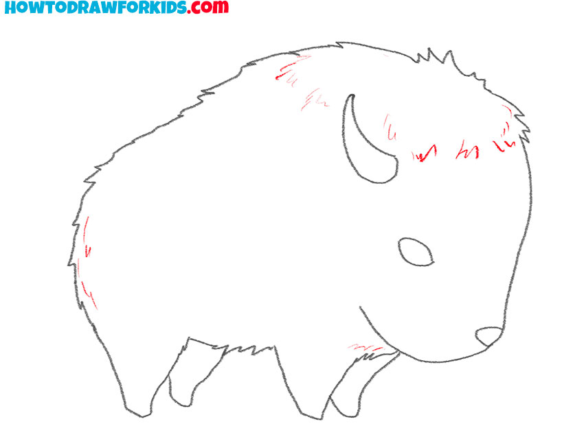 realistic bison drawing