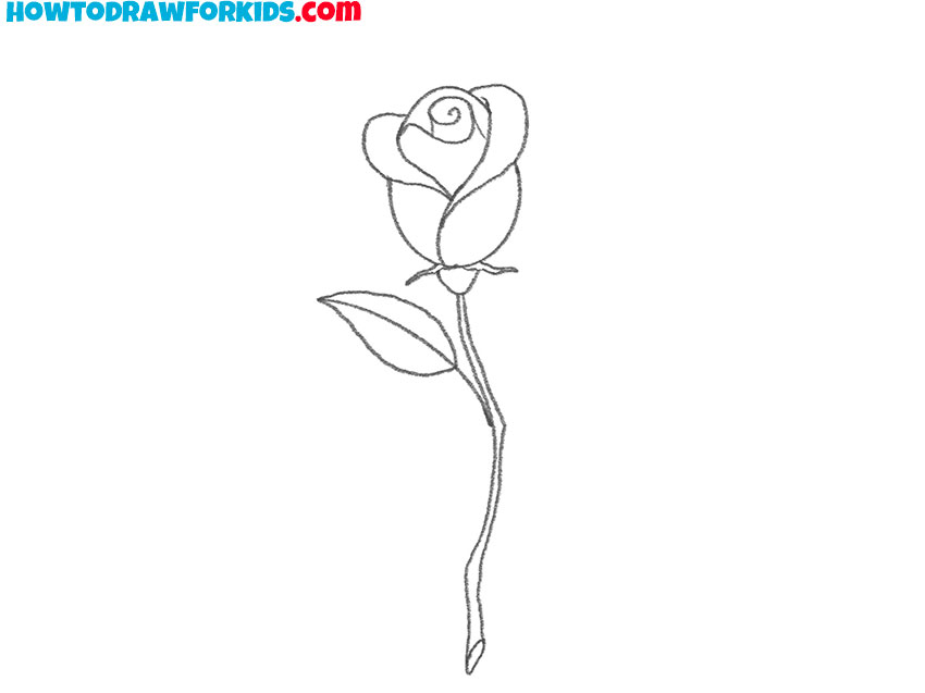 rose drawing lesson