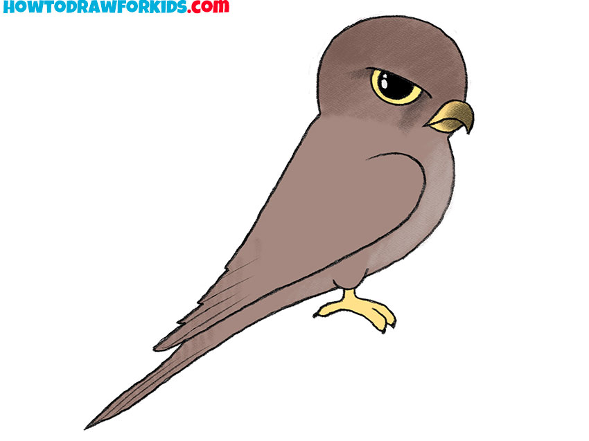 how to draw a falcon step by step easy