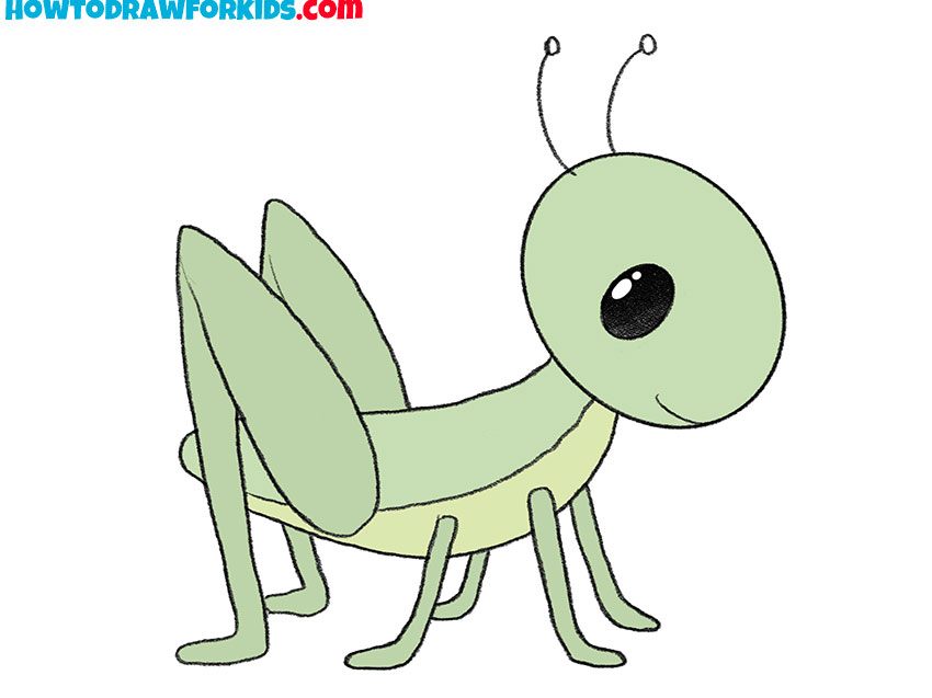 How to Draw a Grasshopper - Easy Drawing Tutorial For Kids