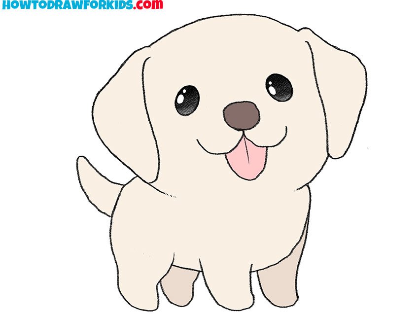 how to draw a realistic dog labrador