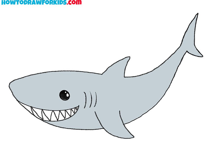 how to draw a shark art hub