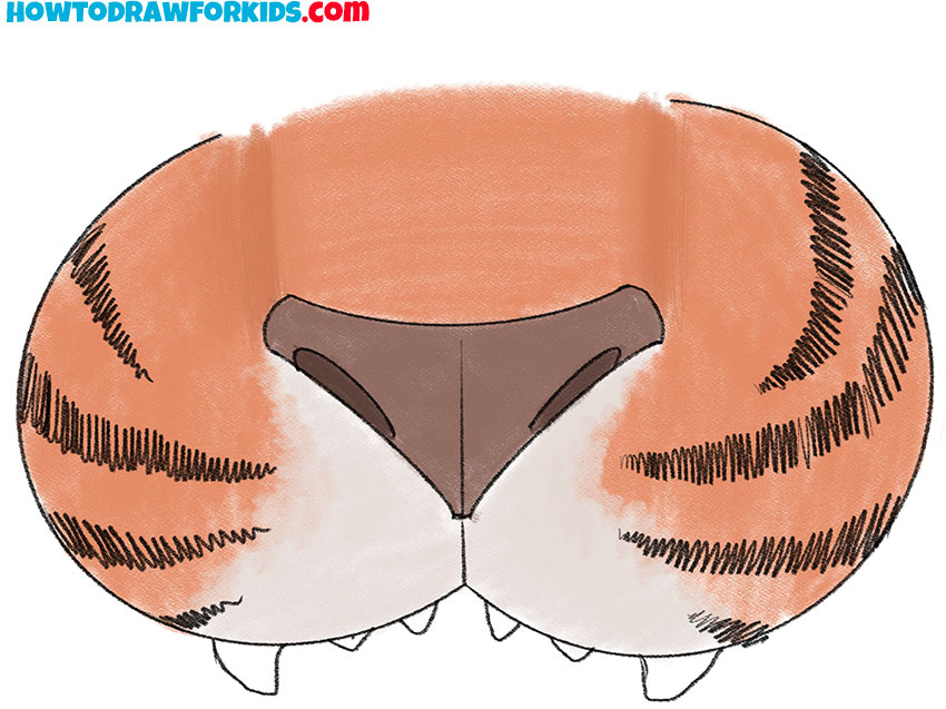 how to draw a tiger nose for beginners