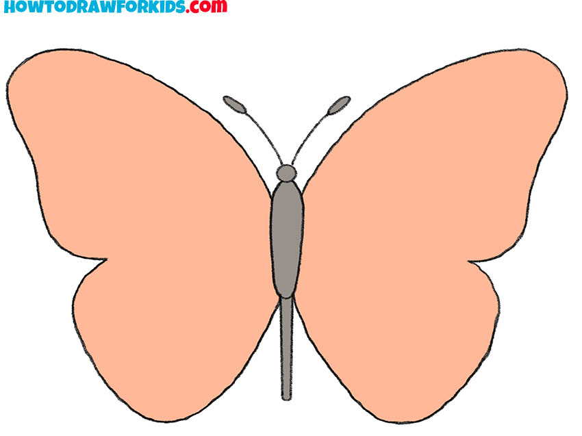 simple butterfly drawing guide